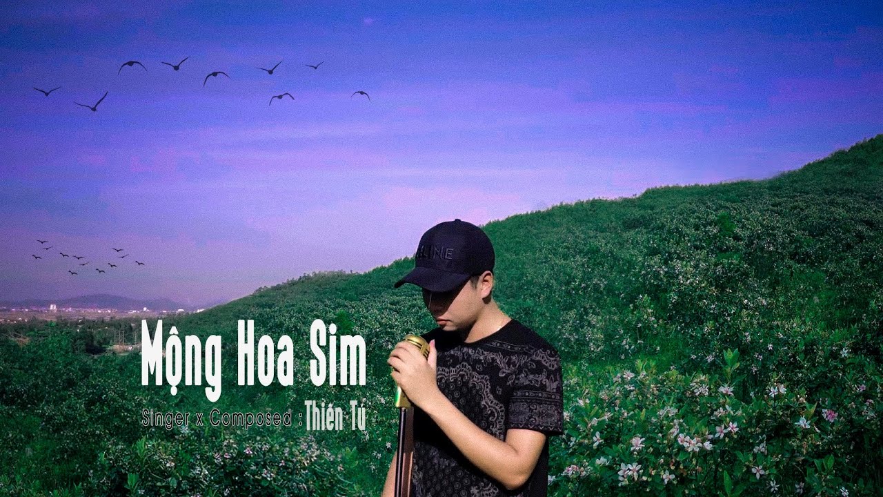 Lời Bài Hát Mộng Hoa Sim – Lyrics Đầy Đủ & Hợp Âm Chuẩn Cho Người Mới