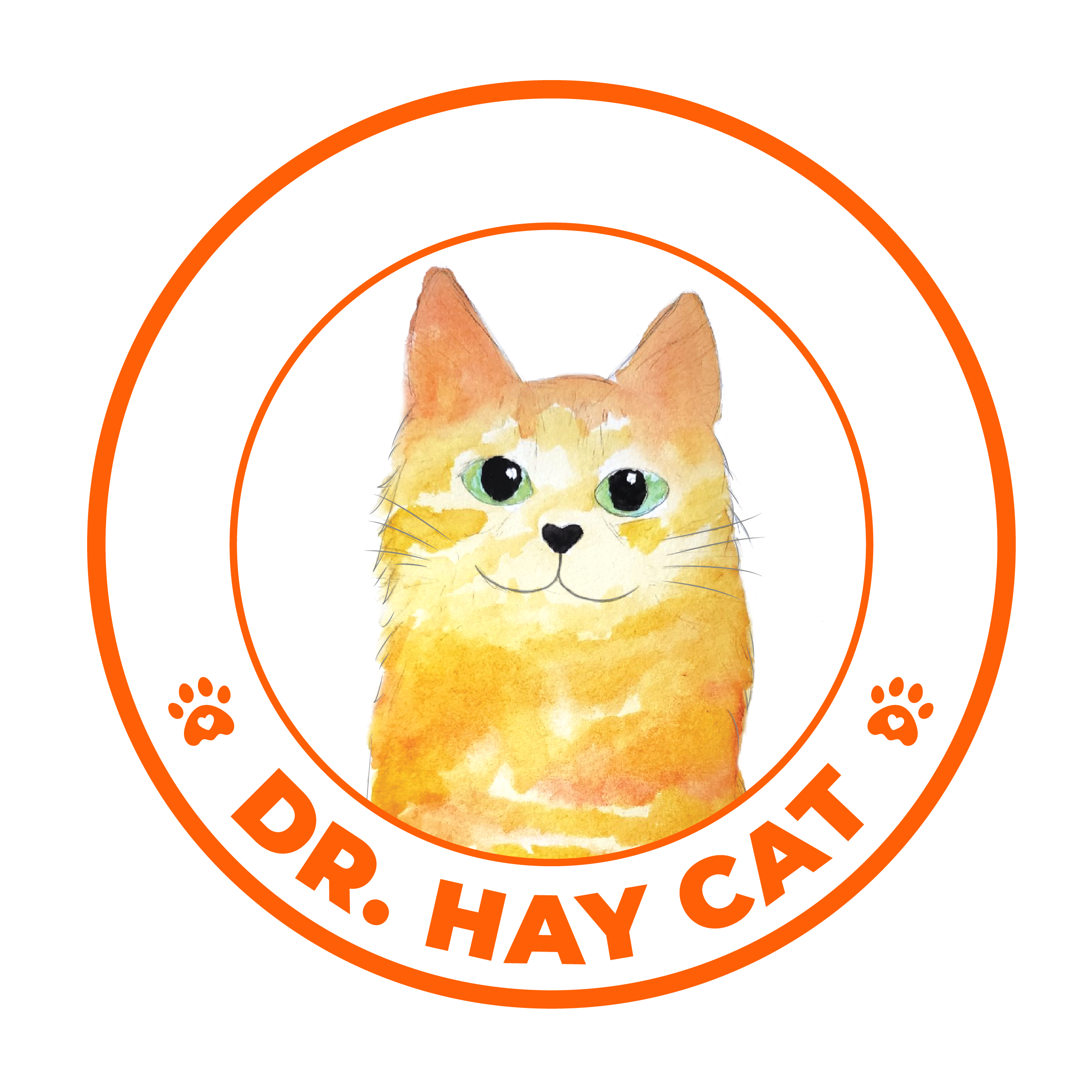 Dr. Hay Cat