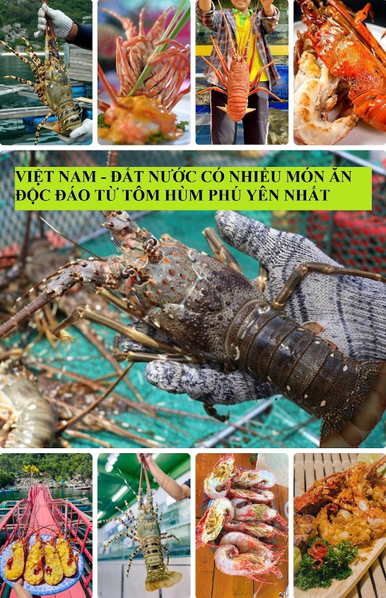 Tỉnh Phú Yên, Việt Nam – Địa Phương Có Hệ Thống Món Ăn Độc Đáo Được Chế Biến Từ Tôm Hùm Nhiều Nhất Thế Giới