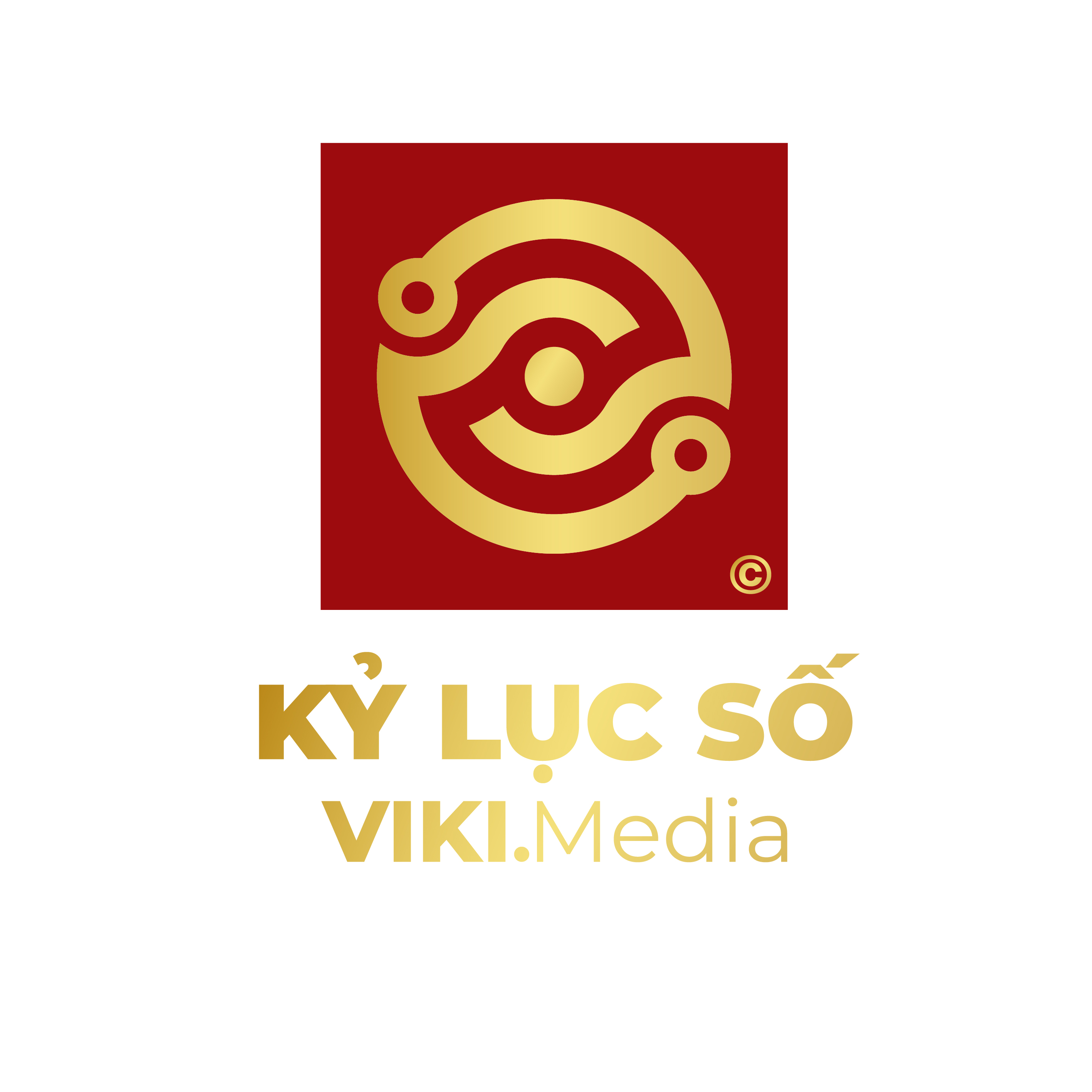 Kỷ Lục Số Viki.Media