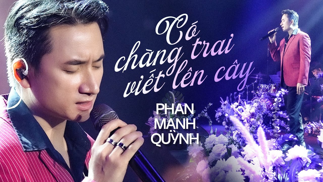Lời Bài Hát Có Chàng Trai Viết Lên Cây (Lyrics Chính Xác, Dễ Hát Theo)