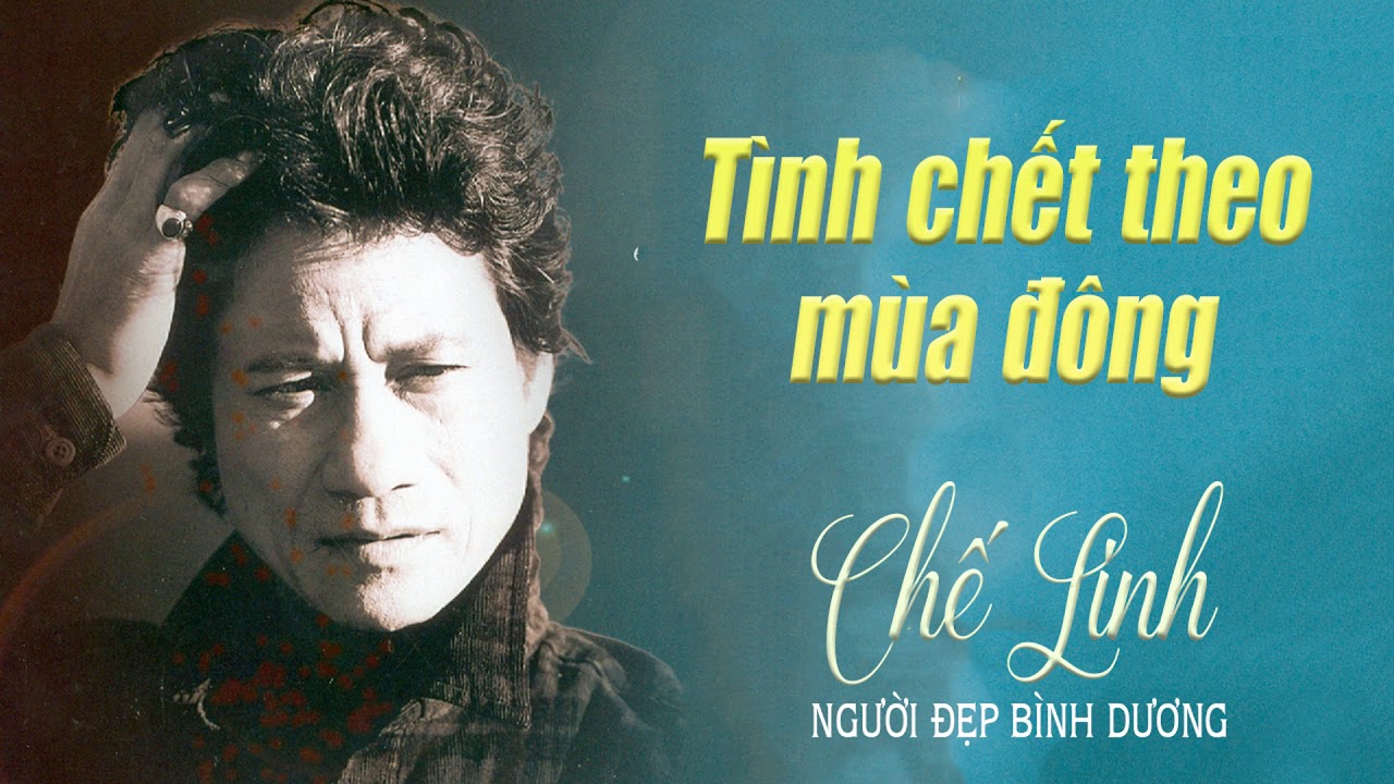 Lời Bài Hát Tình Chết Theo Mùa Đông – Lyrics & Hợp Âm Chuẩn Nhất