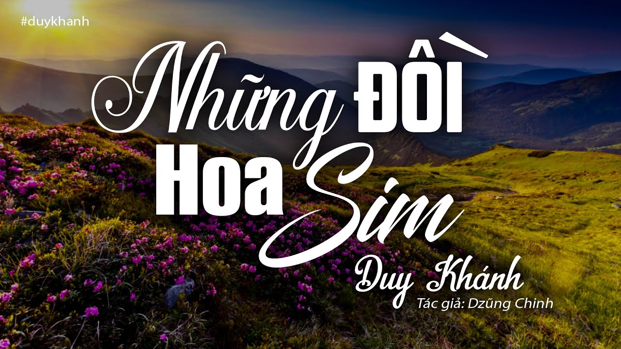 Lời Bài Hát Những Đồi Hoa Sim – Dzũng Chinh | Lyrics Đầy Đủ, Hợp Âm