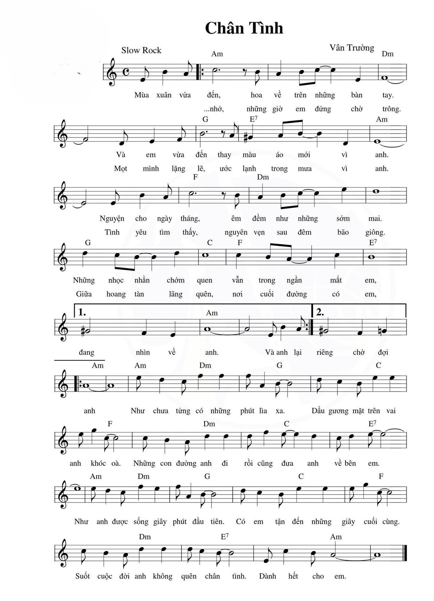 Lời bài hát Chân Tình