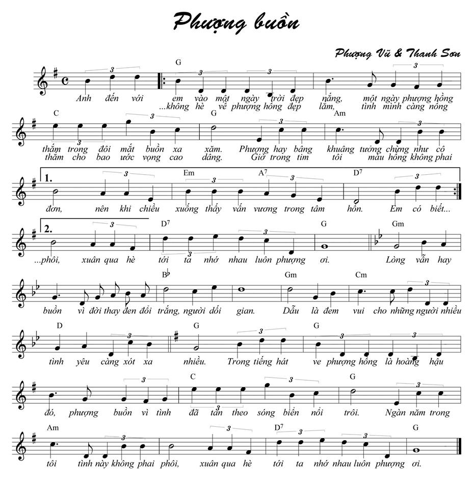 Lời bài hát Phượng Buồn